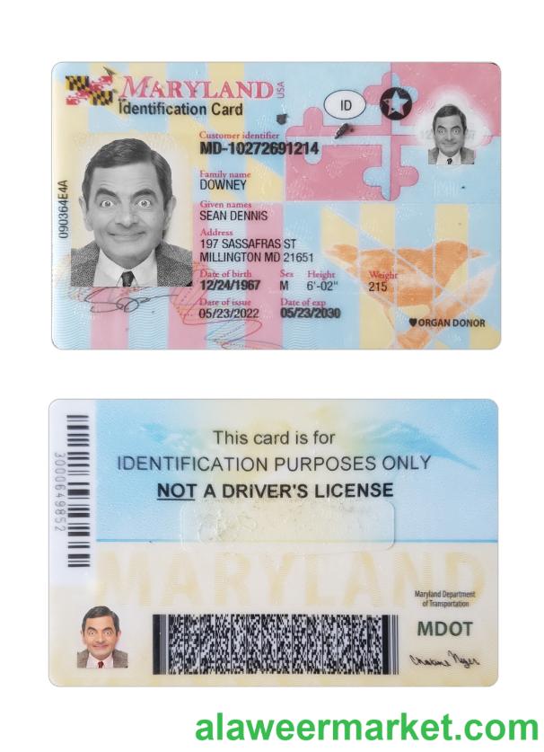 USA Maryland ID card